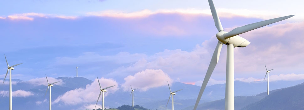 Çevreye Önem Veriyoruz